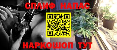 ПСИЛОЦИБИНОВЫЕ ГРИБЫ Пенза