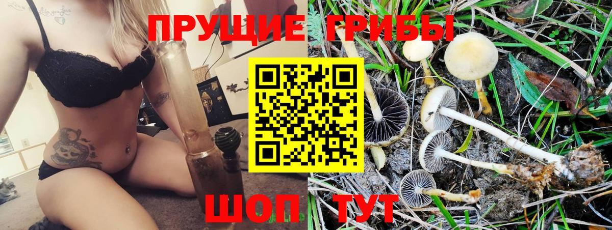 как найти наркотики  Вход с VPN  Протвино  Галлюциногенные грибы прущие грибы  Псилоцибиновые грибы GOLDEN TEACHER 