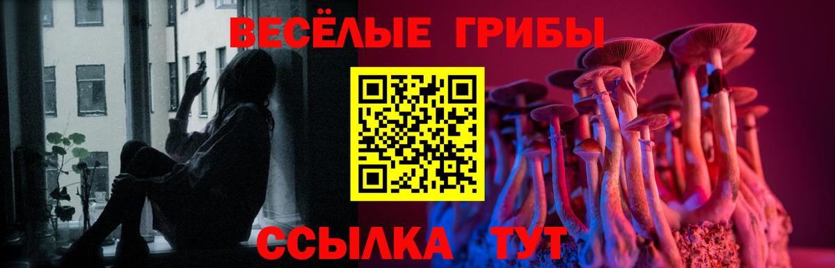 Галлюциногенные грибы мухоморы Протвино